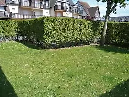 Fleur Marine-5 By Interhome Apartment